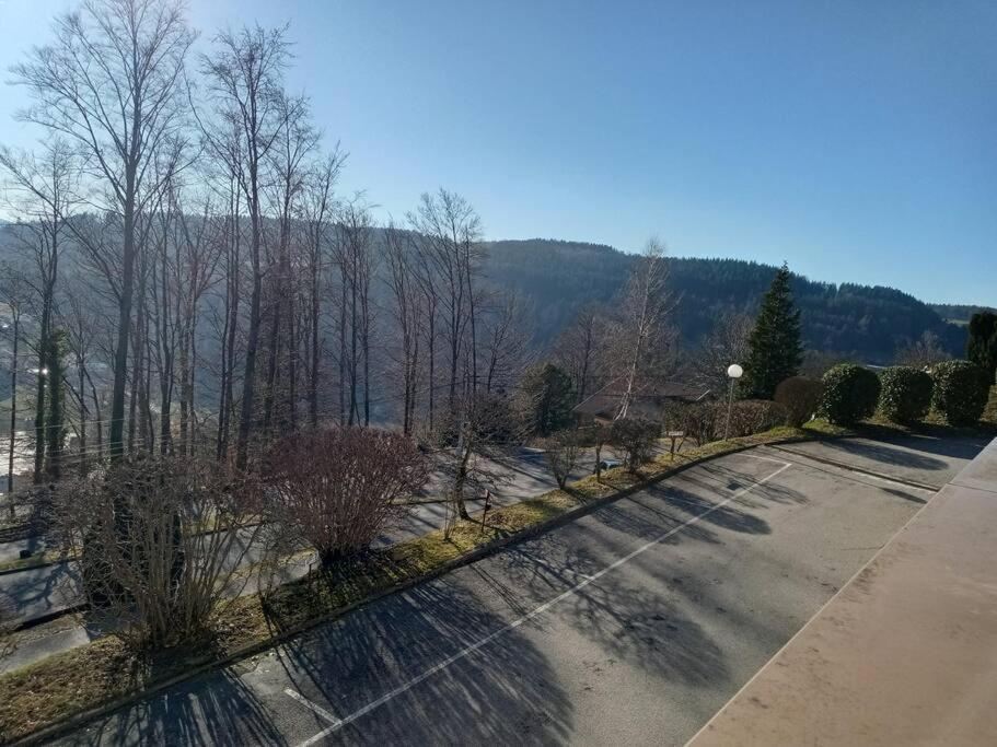 Duplex - Proche De Gerardmer Le Tholy Exterior foto